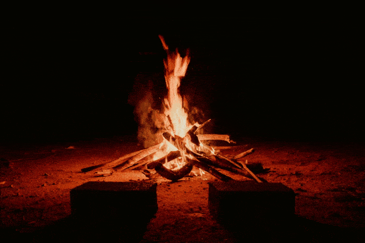 GIF 1