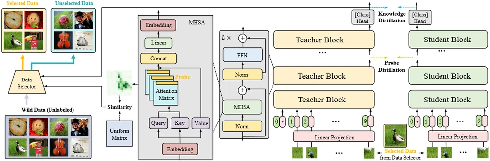 Attention Probe framework diagram